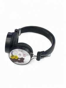 Fancy WBK Headset